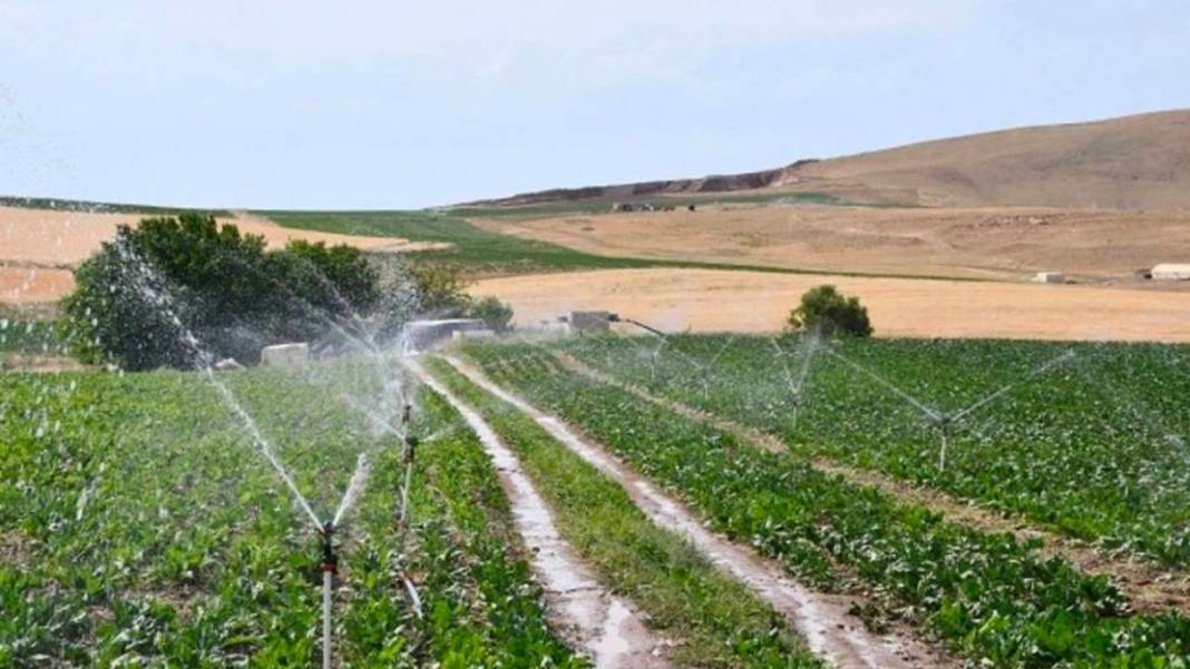 Arsa satışlarında rekor artış: Ev alamayanlar gözlerini araziye dikti 6